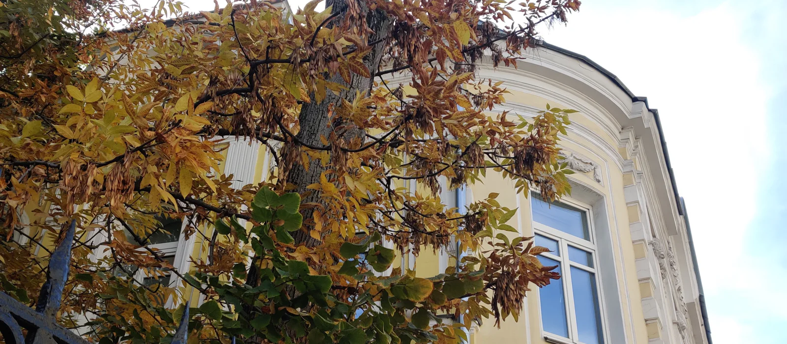 «Пречистенка + Остоженка = Престиженка» — экскурсия в мини-группе — экскурсия, Москва, Россия | Покатаем
