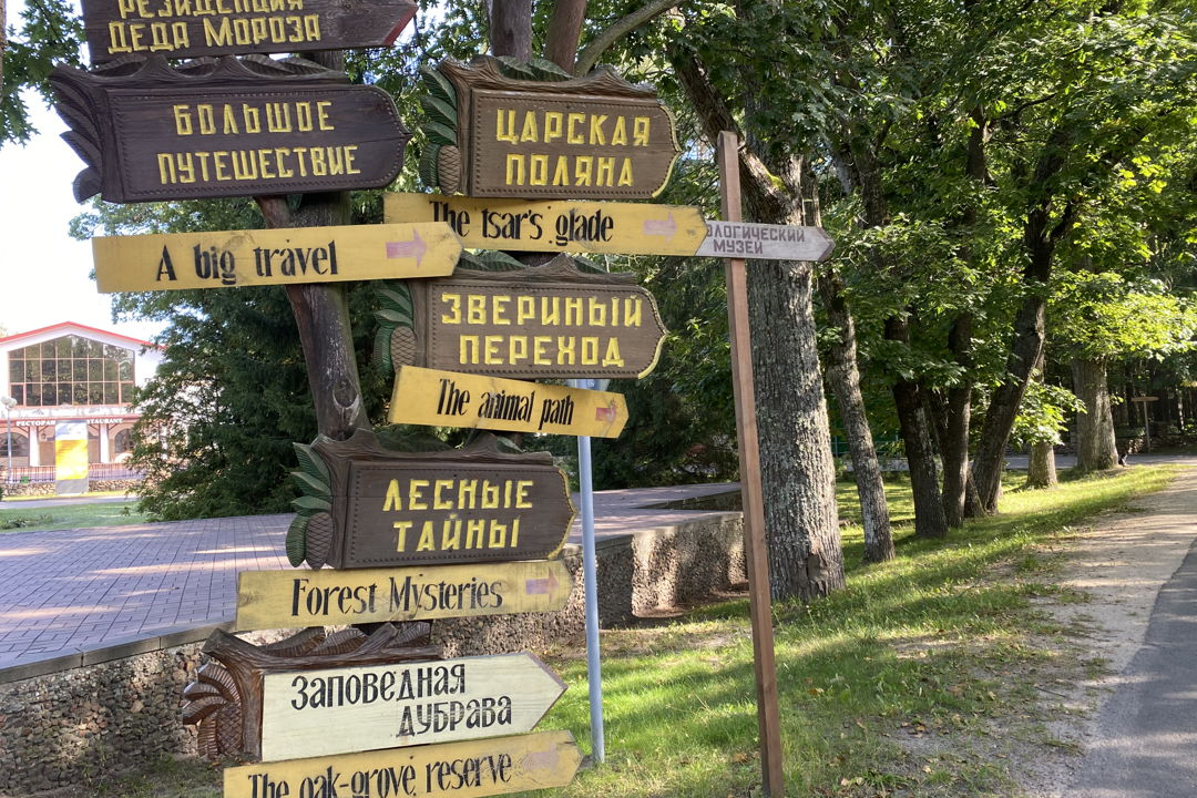 Беловежская пуща и достопримечательности по дороге — фото 4