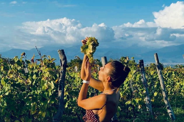 Виды Гастрономическое путешествие в сердце Кахетии — вкус, традиции и эмоции