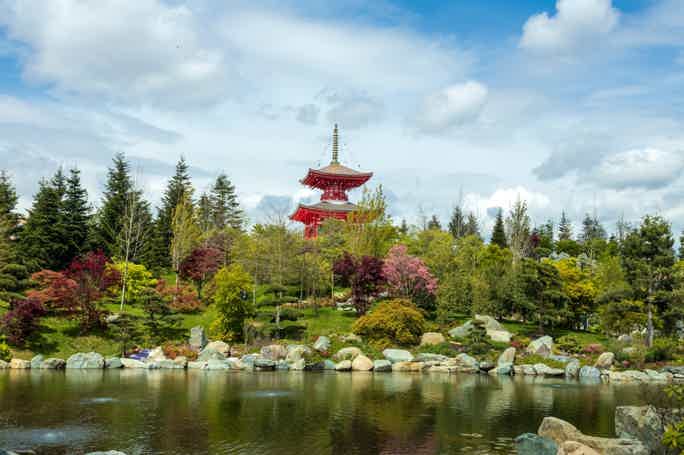 VIP-тур по Японскому саду в парке Галицкого