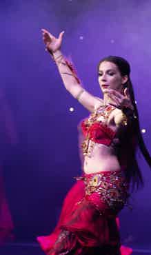 Experience live shows and traditional entertainment