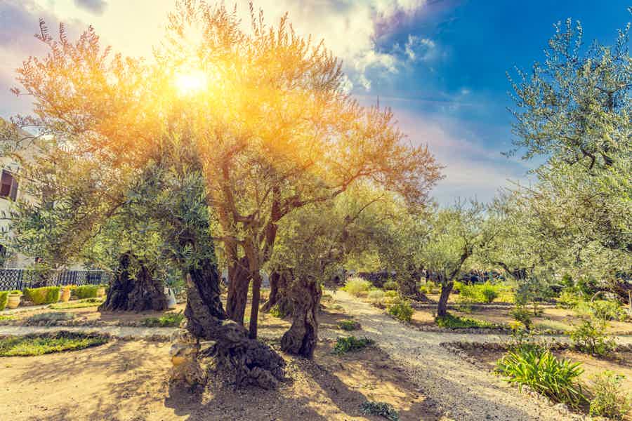 От Елеонской до Сионской Горы — древнейшее кладбище Иерусалима  - фото 3