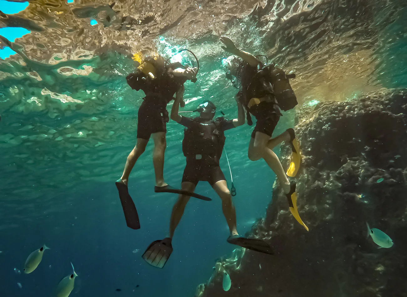 Diving in Phu Quoc: Two Dives, Lunch, and Transfer — tour in Phu Cuoc, Vietnam | Pokataem