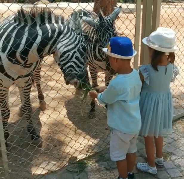 Зоопарк в Анталье - фото 6
