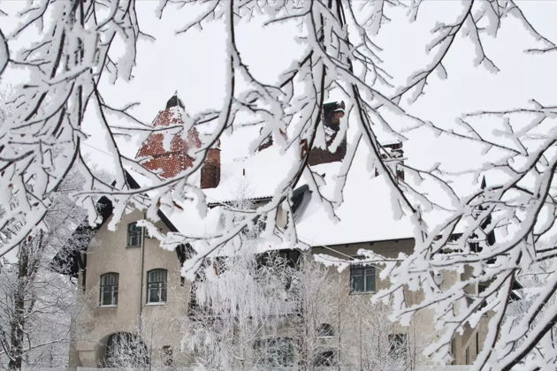 Фото к экскурсии Каменный остров 