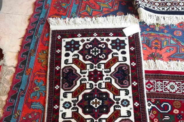 Виды Губа: История и Природа!!!