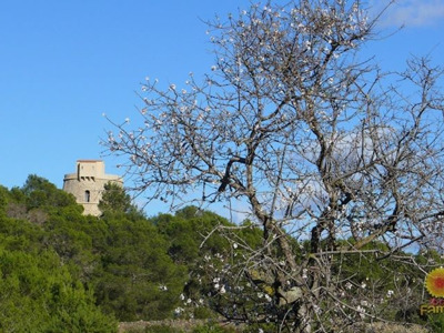 «Пиратская» башня Torre d’en Valls