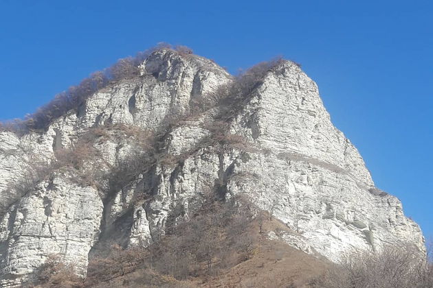 Виды К снежным вершинам Шаро-Аргунского  ущелья и сказочный замок-музей.