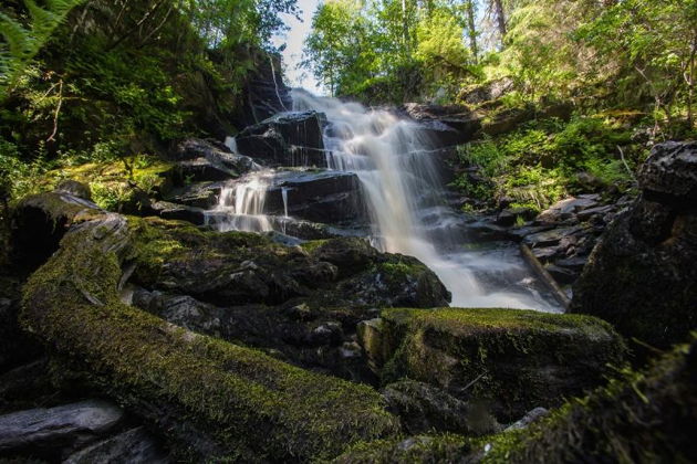 Виды Экскурсия на ферму альпак и Кравцовские водопады