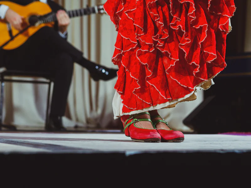 Входные билеты на шоу Puro Flamenco и в Музей танца — фото 2, Севилья | Покатаем