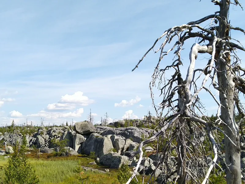 Релаксация в Карелии — Шуйские скалы и каньон Рускеала — фото 3, Петрозаводск | Покатаем