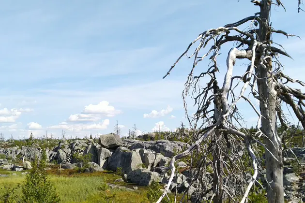 Релаксация в Карелии — Шуйские скалы и каньон Рускеала — фото 3