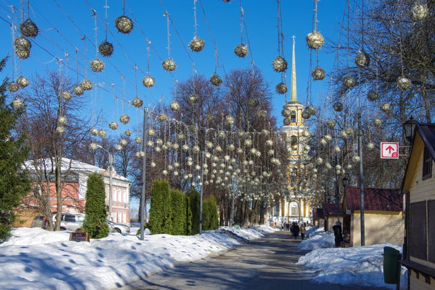 Виды Снежная обзорная по Рязани с посещением Музея-усадьбы И.П.Павлова