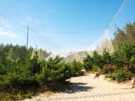 Орнитологическая станция "Фрингилла"