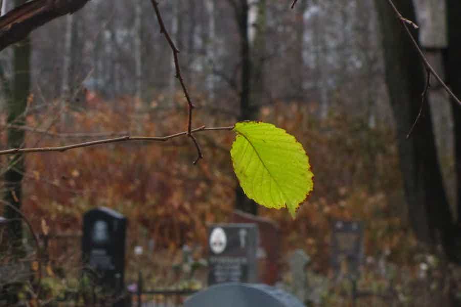 Тайны и мистика Смоленского кладбища - фото 2