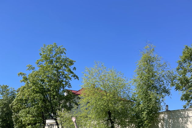 Виды Прогулка на сапбордах по Парковым островам 