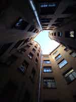 Экскурсия "Удивительная Петроградка" - фото отзыва 1