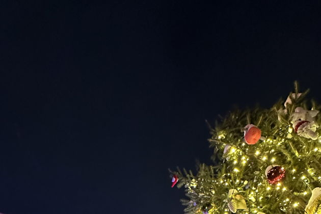 Новогодняя сказка по-Томски