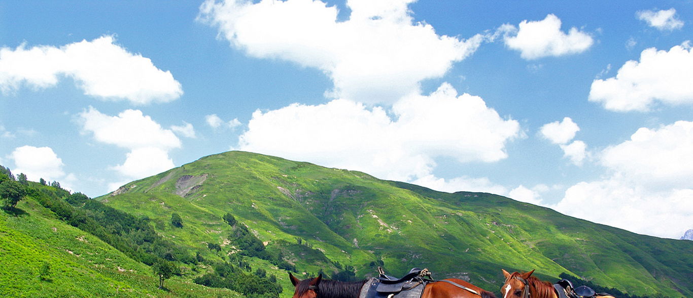 Лошади осетия. Северная Осетия Алания лошади. Национальный парк Алания в Северной Осетии. Северная Осетия конный туризм. Конный поход Архыз.