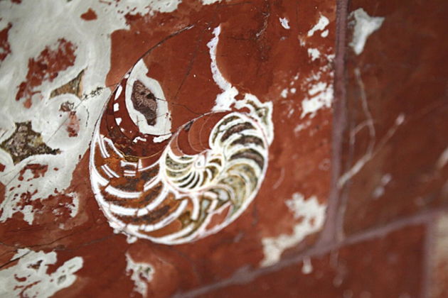 Виды Подземные дворцы Москвы