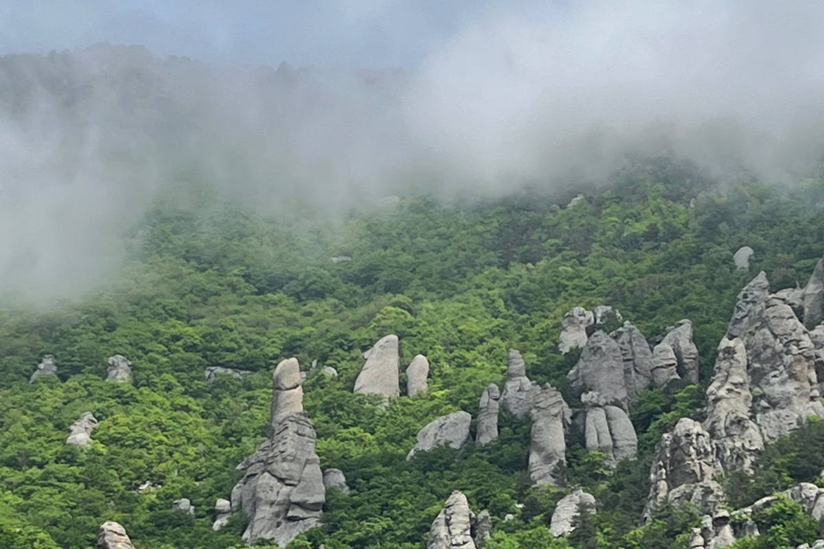 От Алушты до Ялты: микс впечатлений