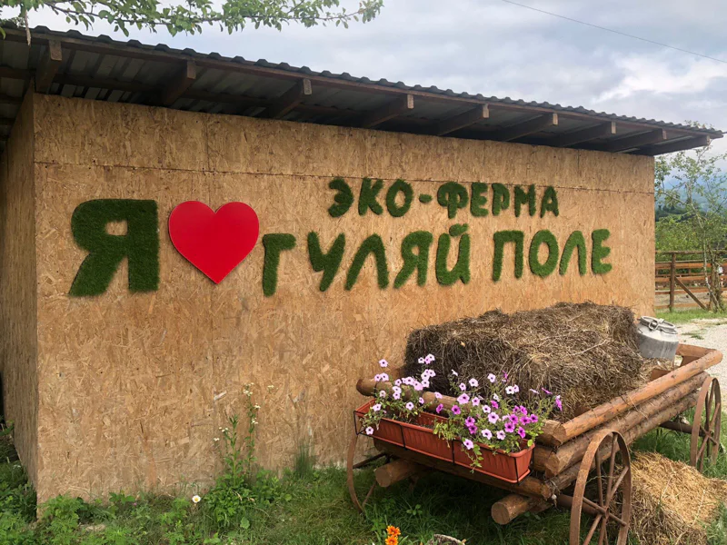 Джип-тур в природном аквапарке с купанием — фото 6