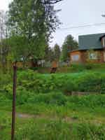 Экскурсия "К волшебному острову Кижи через заонежье" - фото отзыва 1