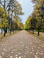 Экскурсия "Феерия воды: экскурсия по фонтанам Петергофа" - фото отзыва 2
