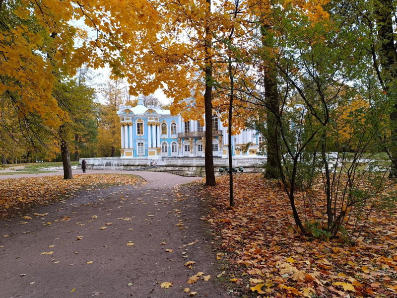 Царское Село по-царски в небольшой группе - экскурсия в Санкт-Петербург, Россия