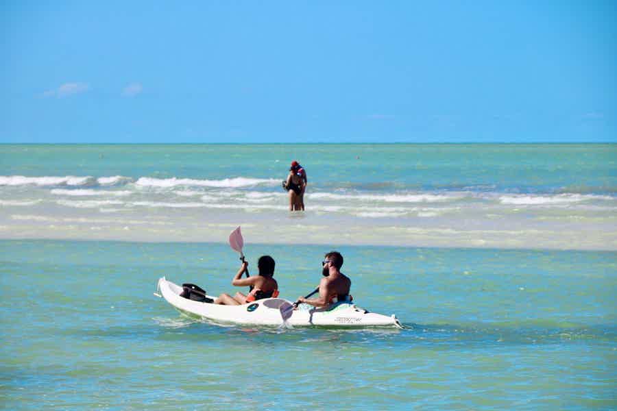 Dubai Attraction: Kayak Tour - photo 5