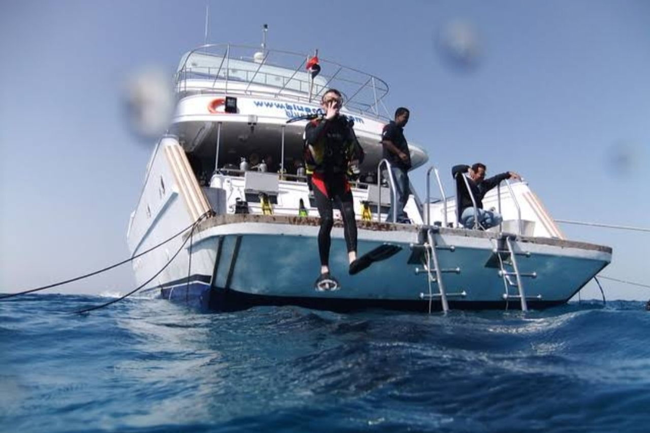 Курс по дайвингу — начальный уровень PADI Open Water
