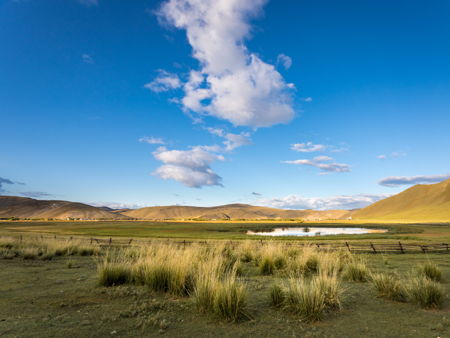 Тажеранские степи