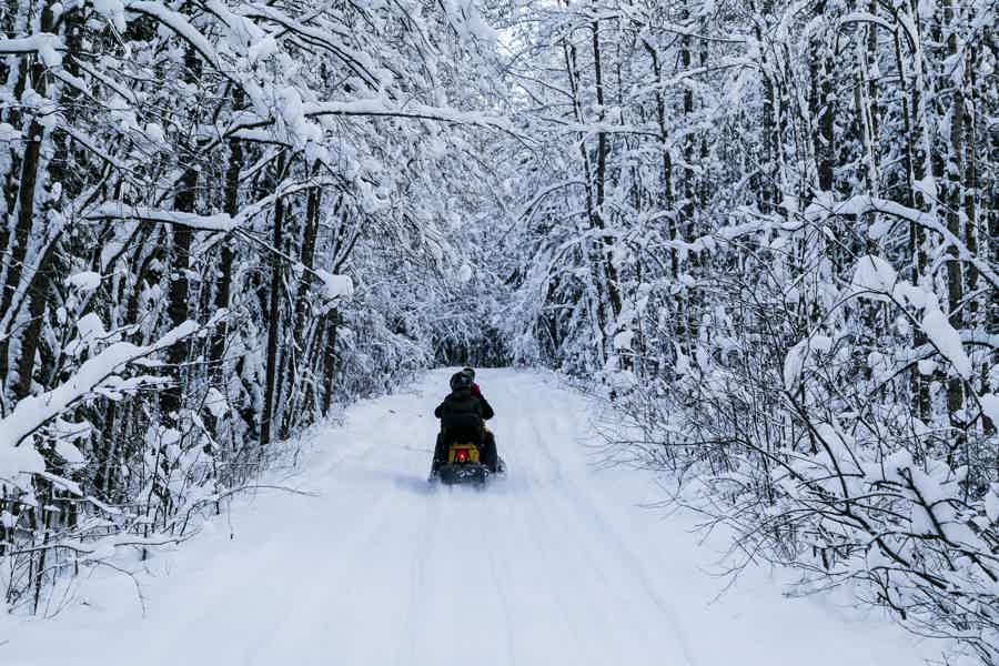 Путешествие по зимнему лесу на снегоходе - фото 1