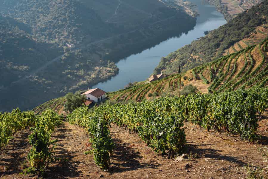 From Porto: Douro Valley Viewpoints and Wineries Day Trip - photo 6