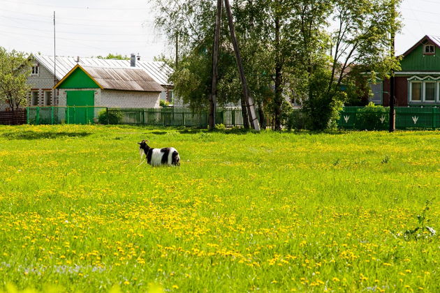 «Я посетил родимые места» Константиново – Иоанно-Богословский монастырь