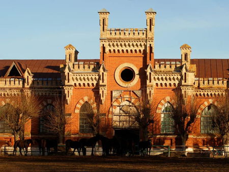 Старожиловский конный завод