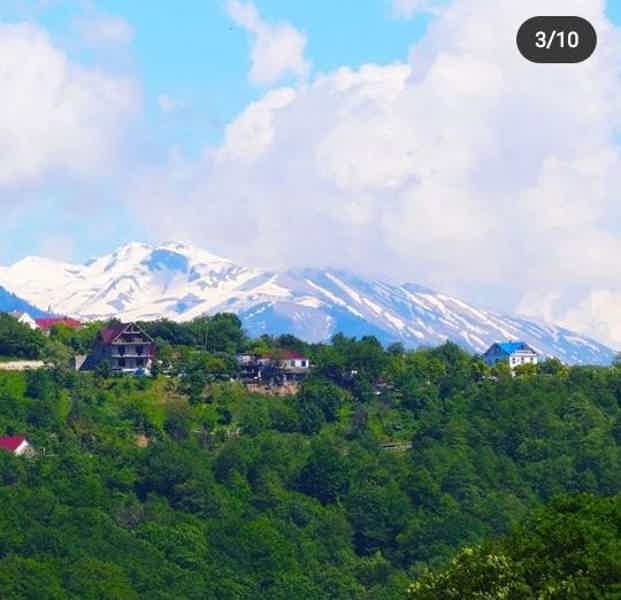 Конные прогулки по живописным местам Адлера  - фото 4