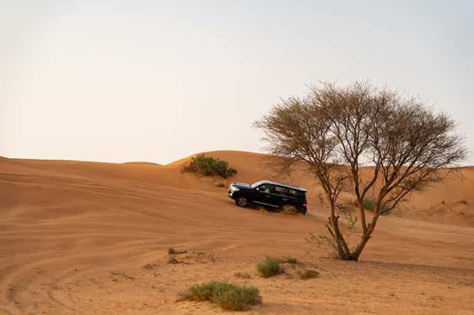 Пустынное сафари в Рас-Аль-Хайме — индивидуальный тур