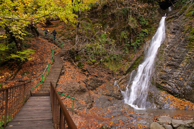 Виды Путешествие в Шемаху и Габалу к альпакам и на винодельню