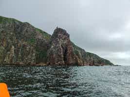 Экскурсия "Морское приключение, морские котики и морепродукты во Владивостоке" - фото отзыва 4