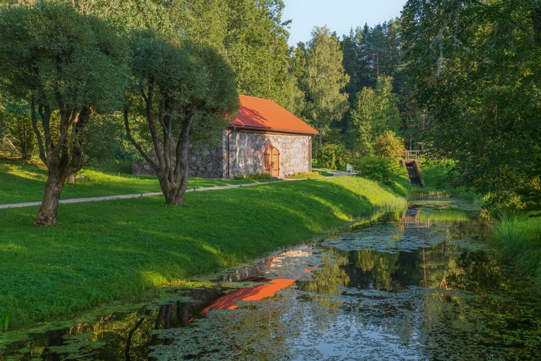 В Пушкинские Горы (индивидуальная экскурсия) — фото 5
