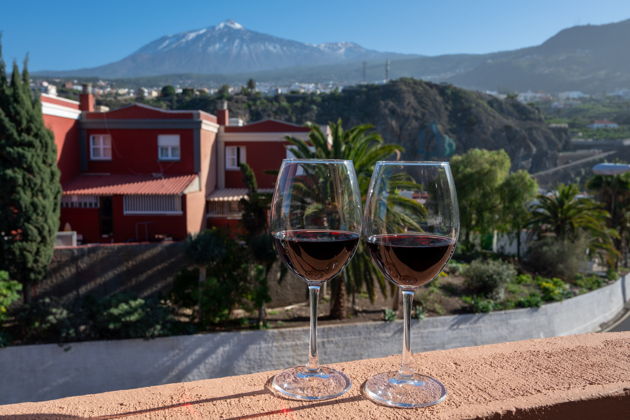 Вкусы Канар: винодельня Эль-Саусаль и мастер-класс по соусу мохо