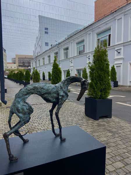 Новый взгляд на Петербург: арт-пространства города - фото 4