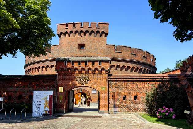 Виды Рыбный Кенигсберг и 12 оттенков пенного