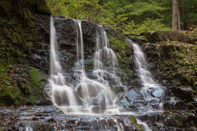 Виды Экскурсия на ферму альпак и Кравцовские водопады