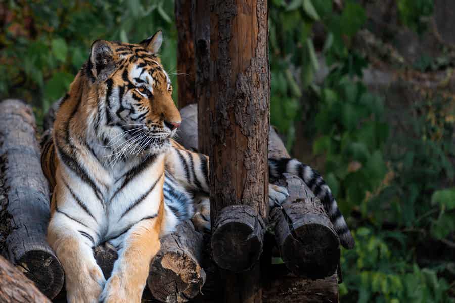 Пекин с детьми: познакомиться с городом - фото 1