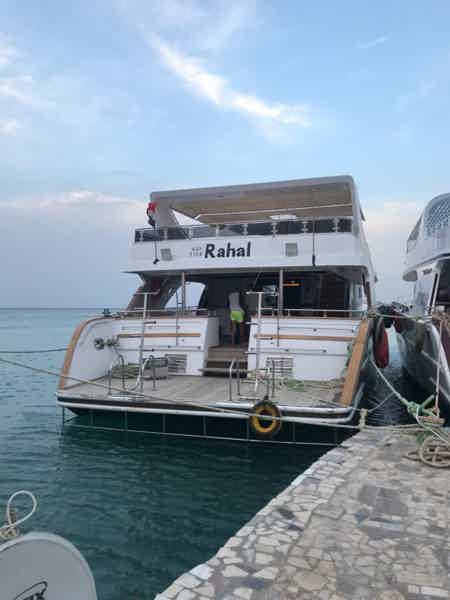 Индивидуальная VIP яхта в Рас-Мохаммед - фото 4