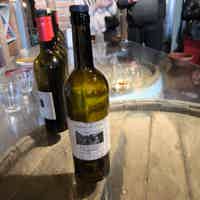 Экскурсия "Велисцихе: история кахетинского виноделия с винным музеем Numisi" - фото отзыва 2