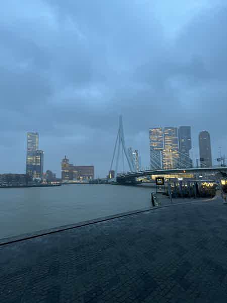 Два города за один день: Гаага и Роттердам - фото 5