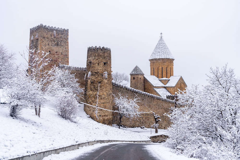 Зимний Ананури